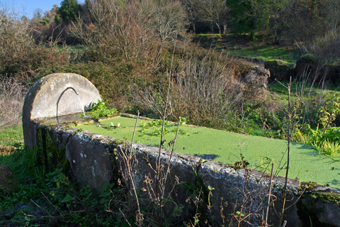 Fontanili del Lazio